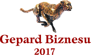 Gepard 2017